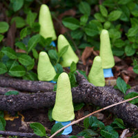 Morel Mushroom